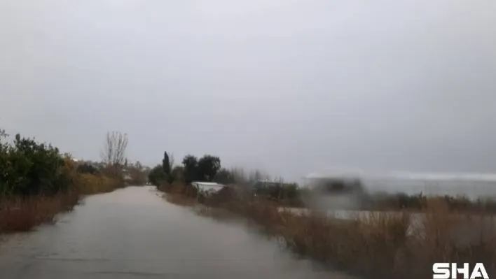 TARSİM: 'Ülkemiz için üreten ve alın teri döken üreticimizin daima yanındayız'