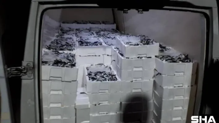 Gürpınar Su Ürünleri Hali'nde 3 ton balığa el konuldu