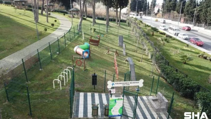 Küçükçekmece'de köpeklere özel pati park