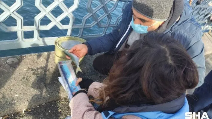 (Özel) Galata Köprüsü'ndeki denetimde küçük balıklar denize döküldü