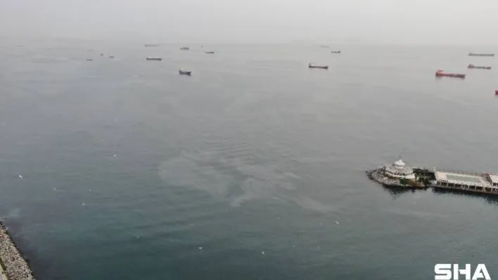 (Özel) Hamsi avının yasaklanmasının ardından Marmara Denizi'nde dev petrol sızıntısı görüntülendi