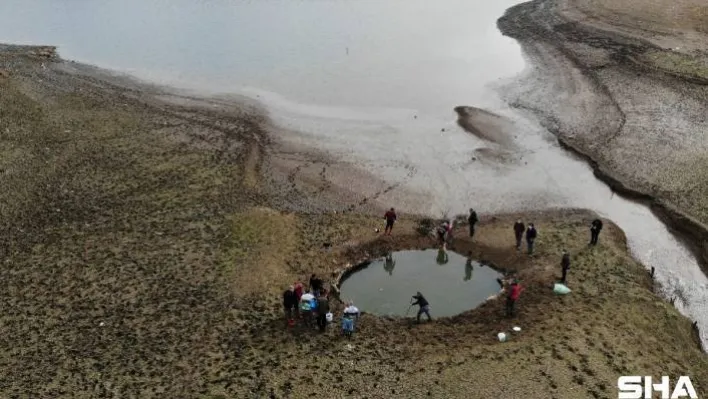(Özel) Kuruyan Ömerli Barajı'nda mahsur kalan yavru balıkları kurtarma operasyonu havadan görüntülendi