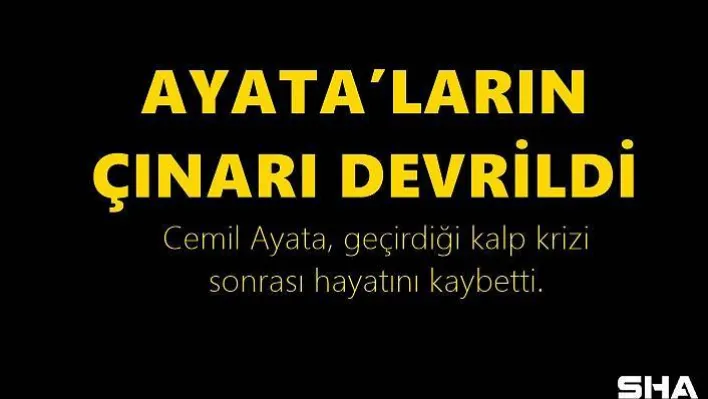 Ayata'ların çınarı devrildi