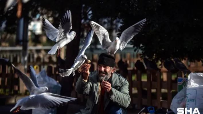Her gün elleriyle martılara ve güvercinlere profiterol yediriyor