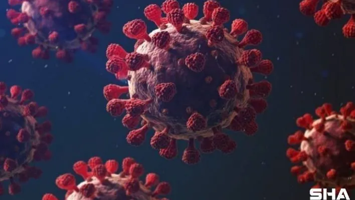 365 günde 58 milyondan fazla Covid-19 haberi yapıldı