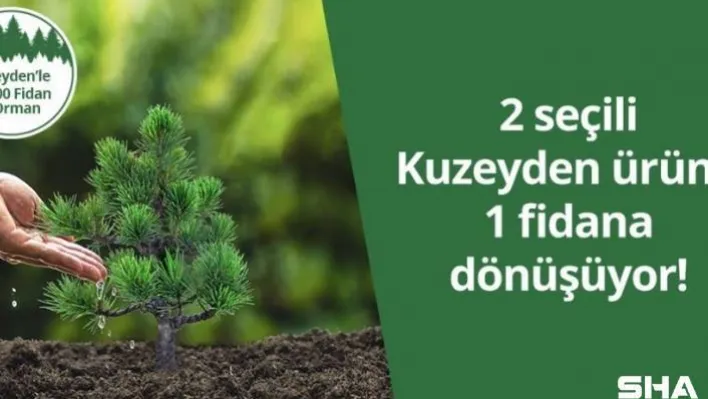 Kuzeyden 50 bin fidan ile 5 orman oluşturuyor