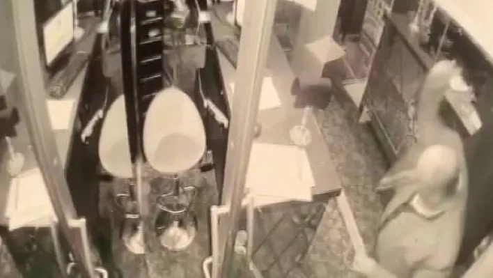 (Özel) Ataşehir'de satırlı saldırganın otel bastığı anlar kamerada