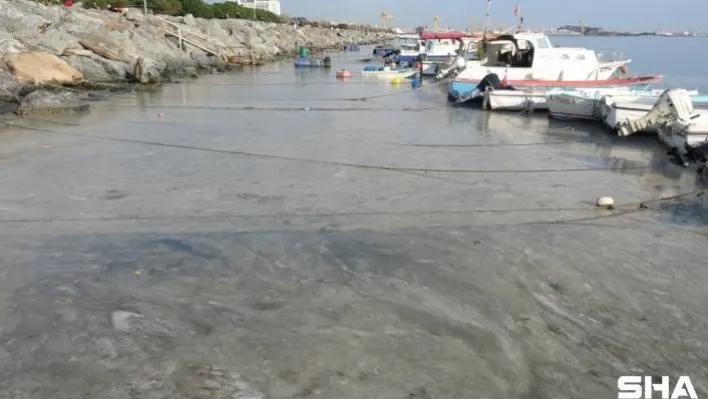 Pendik'te korkutan görüntünün gerçek nedeni belli oldu