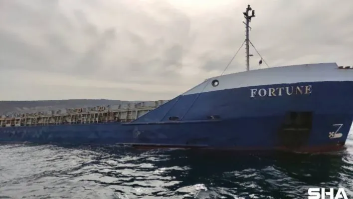 Şile'de kuru yük gemisi demir attı, ekipler harekete geçti