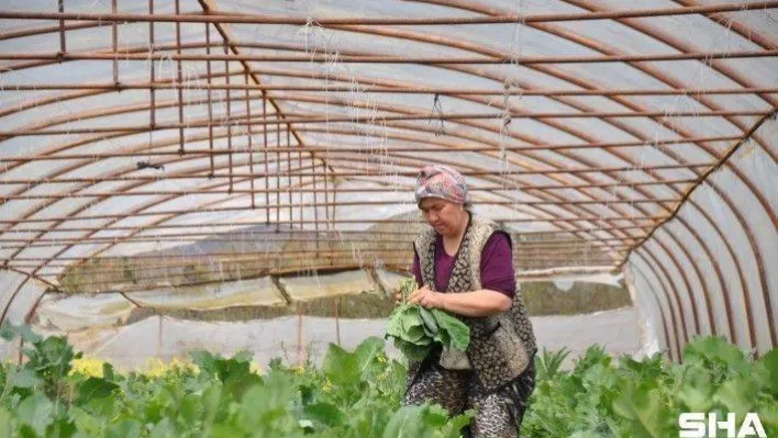 Beykoz'da  Adil Sözleşmeli Tarım Projesiyle üretilen ürünler ihtiyaç sahipleriyle buluşturulacak