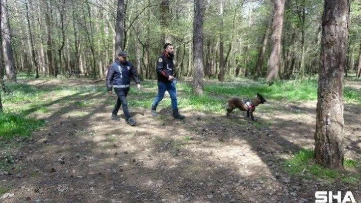 Çekmeköy'de ormanlık alanda kaybolan şahsı arama çalışmaları sürüyor