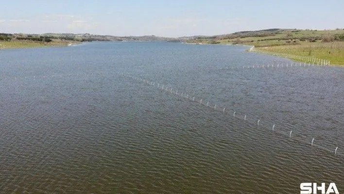 (ÖZEL) Ömerli Barajının içine dikenli tel çekildi, bölgede bulunan canlılar zarar gördü