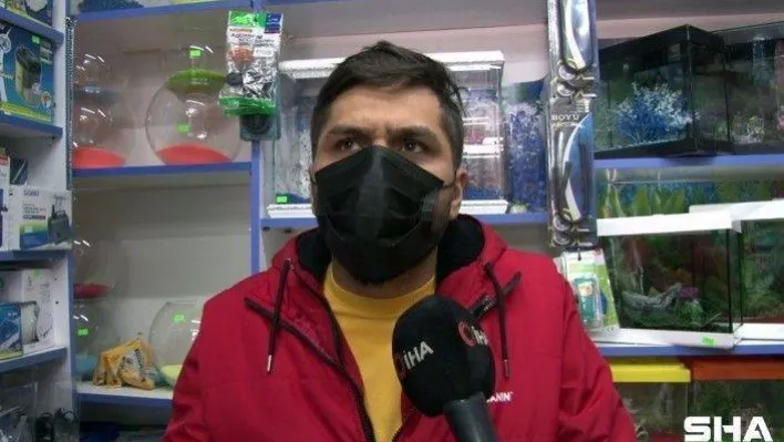 (Özel) Önce alışveriş yaptılar, ardından oyuncak çalıp kaçtılar