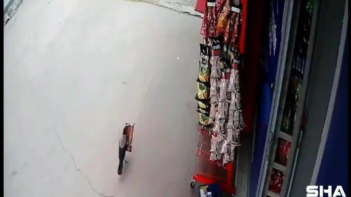 (Özel)- Pendik'te 'cips hırsızı' karga, iş yeri sahibine yakalandı