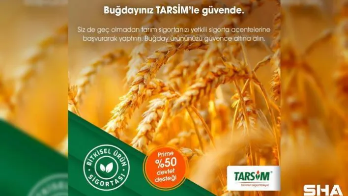 TARSİM: 'Buğday ürününüz güvende'