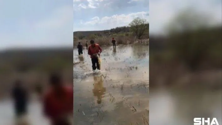 Terkos Gölü'nde yasa dışı balık avına 14 bin lira ceza