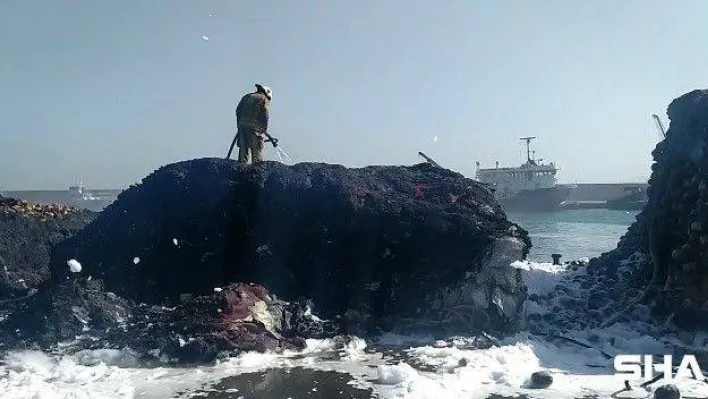 Gürpınar Su Ürünleri Hali'nde balıkçı ağları yandı