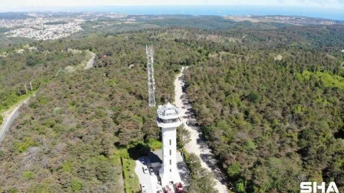 (Özel) İstanbul Orman Bölge Müdürü Yusuf Şahin, yangınlara karşı vatandaşları uyardı