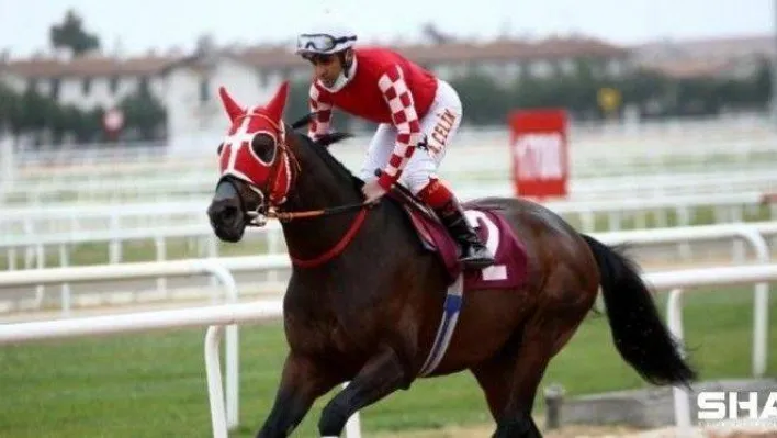 95. Gazi Koşusu'nu Burgas kazandı