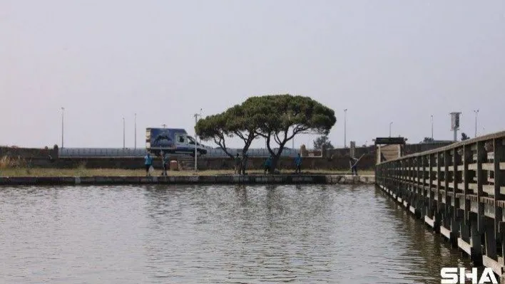 Başkan Akgün'den rengi değişen Büyükçekmece Gölü hakkında açıklama