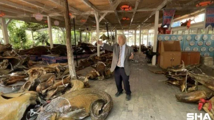 Kenan Balcı, Türkiye Deniz Canlıları Müzesi için destek istedi