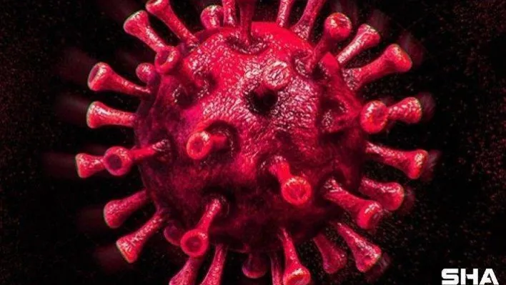 Koronavirüste son durum ne? Vaka sayıları açıklandı