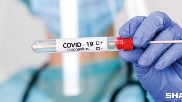 Koronavirüste son veriler paylaşıldı