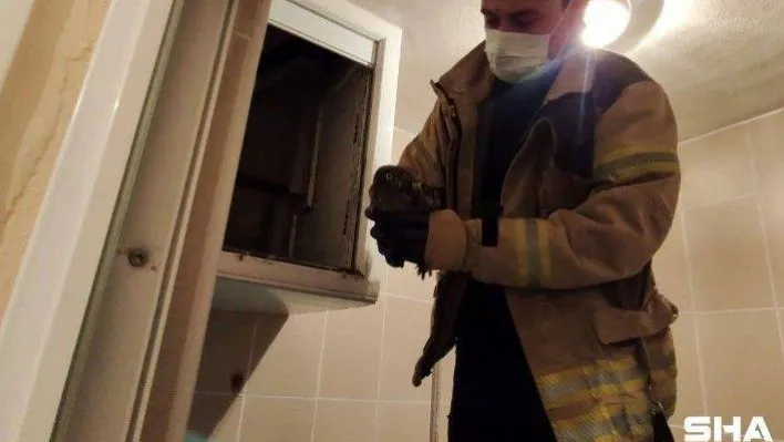 (Özel) Havalandırmaya düşen yavru baykuşu itfaiye ekipleri kurtardı