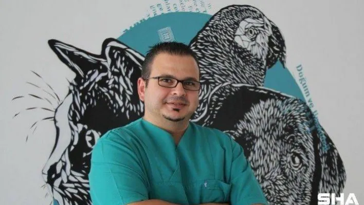 Köpeğinizin geleceğini tehdit eden risk: Meme tümörleri