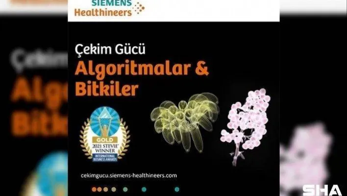 Algoritmalar ve Bitkiler Sergisi, Stevie Uluslararası İş Ödülleri'nde altın ödül kazandı