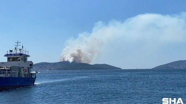 Heybeliada'da orman yangını