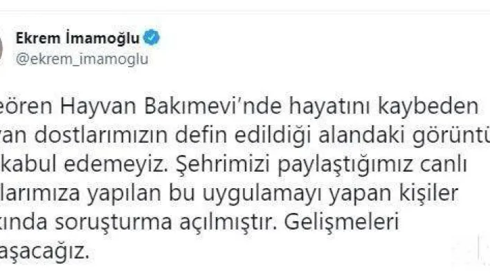 İBB Başkanı Ekrem İmamoğlu'ndan hayvan bakımevindeki olayla ilgili açıklama