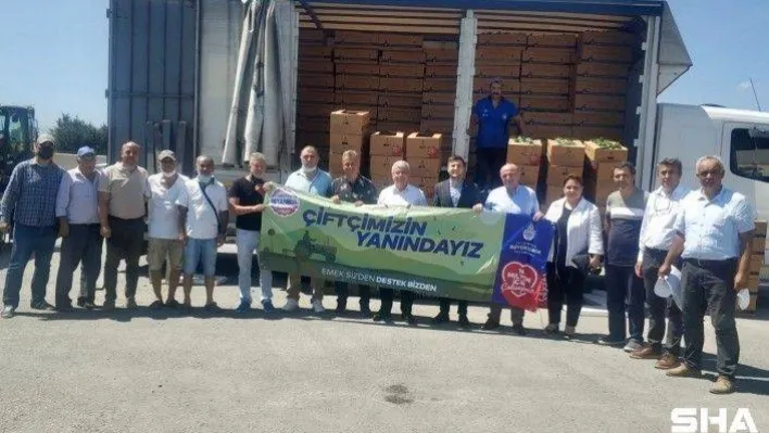 İBB Kışlık Sebze Fidesi Dağıtımlarına Başladı