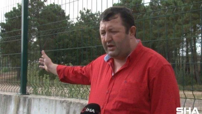 Mahalle muhtarından İBB'ye tepki: 'Onlarca hayvanın açıkta kalmış cesetleri buradaydı'