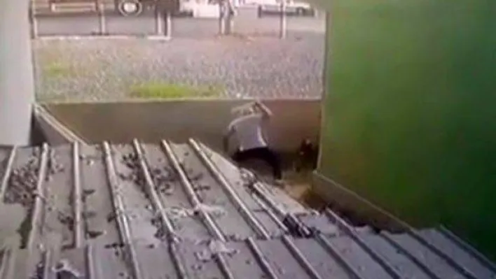 (Özel) Ataşehir'de gözü dönen saldırgan köpeği sopa ile dövdü