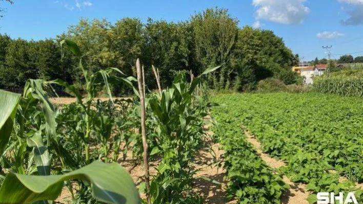 (Özel) Emeklilikte sonra çiftliğinde hobi için ürettiği ürünleri satmaya başladı