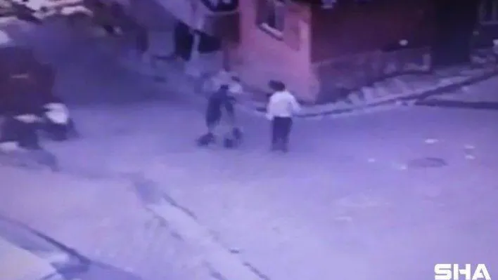 (Özel) İstanbul'da ilginç hırsızlık: 'Martıyı' üzerine binip çaldılar, yunus polisine yakalandılar