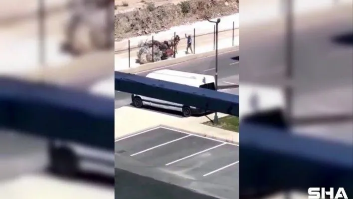 (ÖZEL) Yüklenen yükü taşıyamayan atın sopayla dövülmesi kamerada