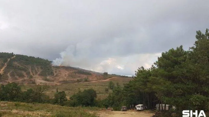 Pendik'te orman yangınına havadan ve karadan müdahale