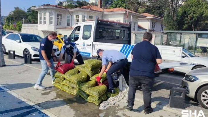 Sarıyer'de kaçak midye avcılarına baskın: '11 bin 885 TL para cezası