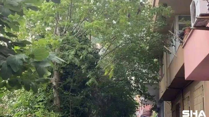 Sarıyer'de kopan elektrik kablosu alev aldı, olası faciadan dönüldü