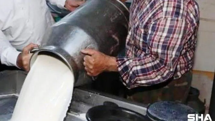 Toplanan inek sütü miktarı yüzde 1,8 arttı