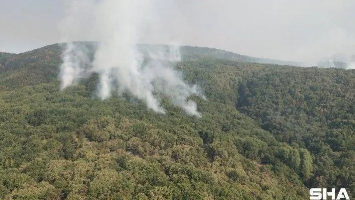 Tunceli'de 2 helikopter ve 1 uçakla yangına müdahale sürüyor