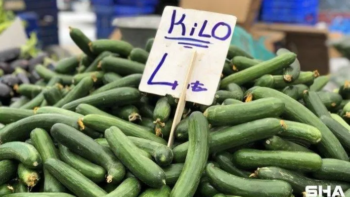 Ağustos'ta fiyatı en çok artan ürün olan salatalık 4 liradan alıcı buluyor