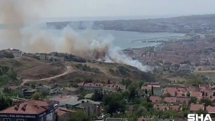 Büyükçekmece'de otluk alanda çıkan yangın evleri tehdit etti