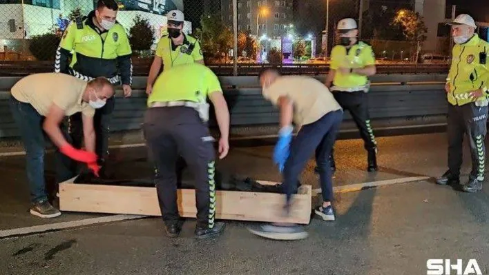 D-100'de feci motosiklet kazası: 2 ölü