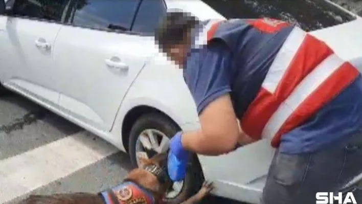 İstanbul'da piyasaya uyuşturucu sürmeye hazırlanan zanlılar yakalandı