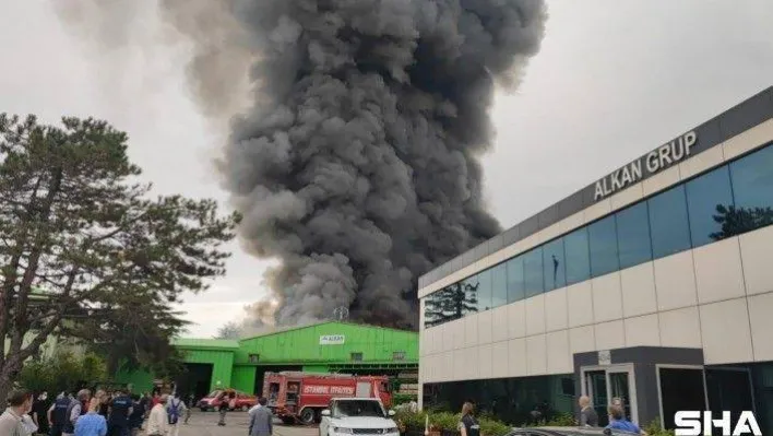 İstanbul'un Şile ilçesinde bir iş yerinde yangın çıktı. Olay yerine çok sayıda itfaiye ekibi sevk edildi.