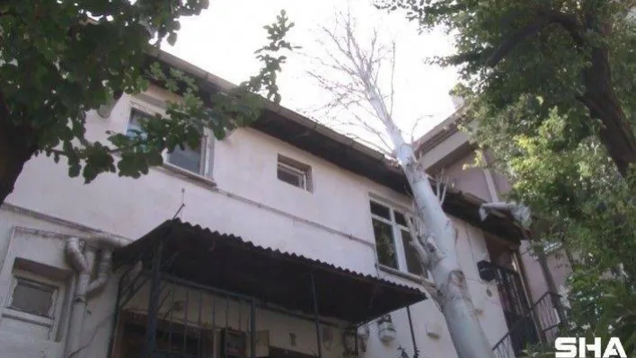 Maltepe'de şiddetli rüzgarda devrilen ağaç evin çatısına düştü