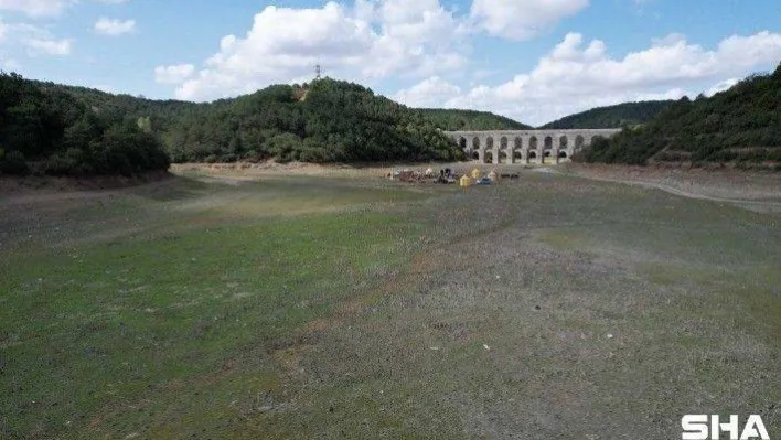 (ÖZEL) Bir kısmı kuruyan Alibeyköy Barajı film seti oldu